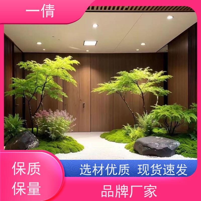一倩花卉 前台 满堂红 室内植物出租 种类繁多 规格齐全