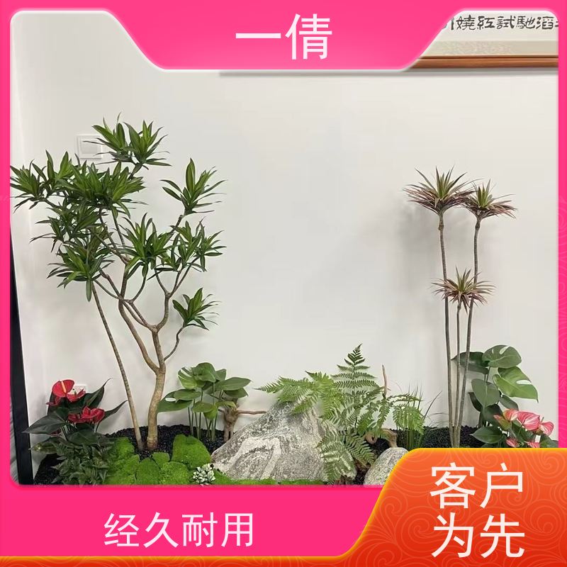 一倩花卉 前台 70盆四季桔 开业花篮租赁 桌面绿植 花木护理