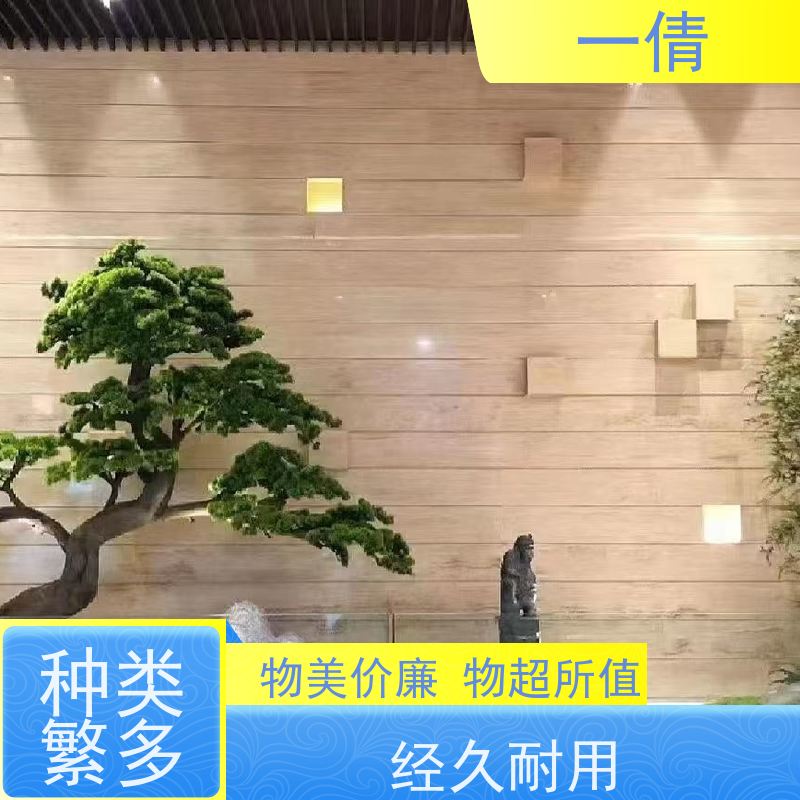 一倩花卉 办公室 绿精灵 绿植租赁 种类繁多 规格齐全