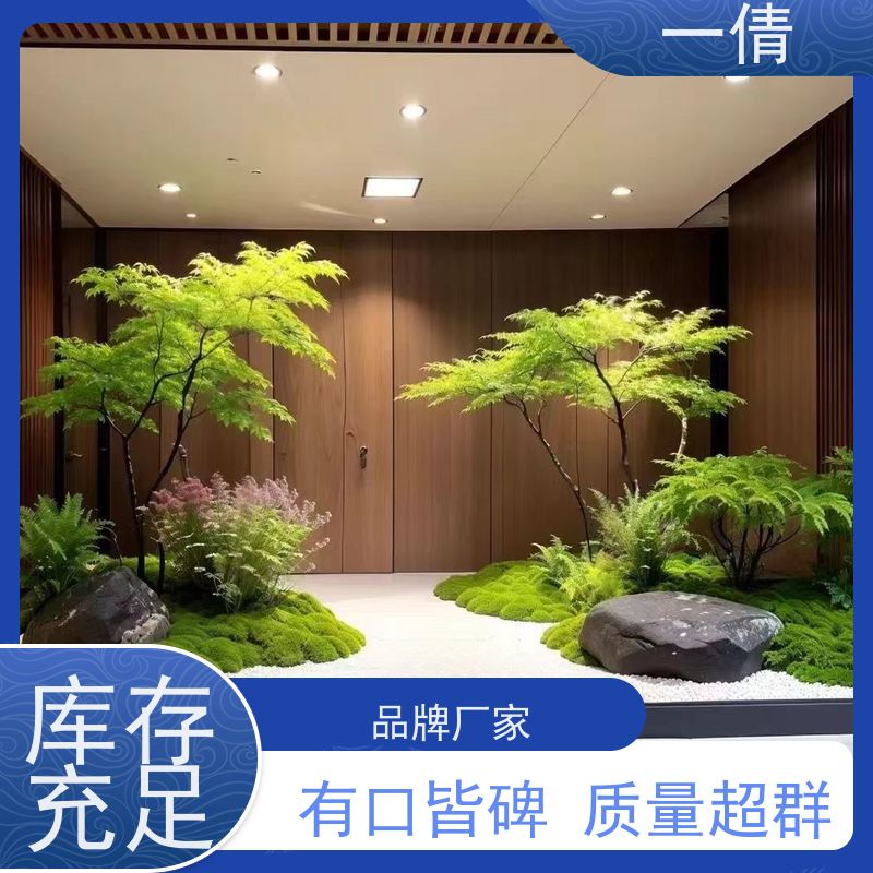 一倩花卉 前台 砖石翡翠 绿植租赁 桌面绿植 花木护理