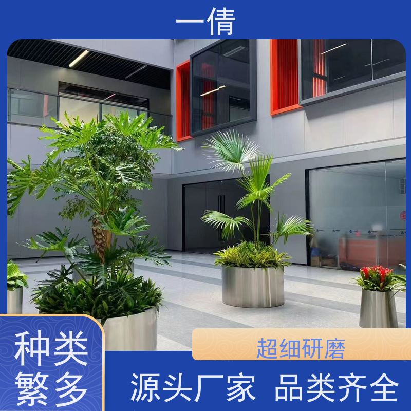 一倩花卉 深圳 8层黄金果 开业花篮租赁 种类繁多 规格齐全