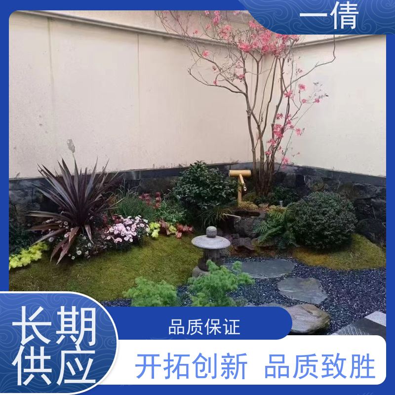 一倩花卉 深圳 常春藤 开业花篮租赁 桌面绿植 花木护理