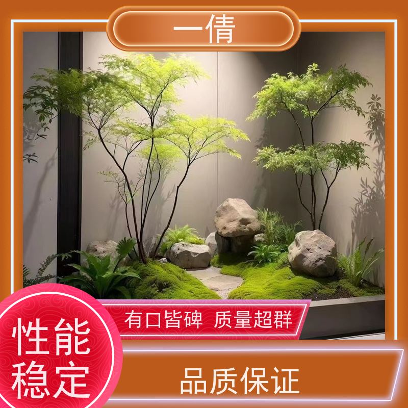 一倩花卉 前台 绿精灵 室内植物出租 种类繁多 规格齐全