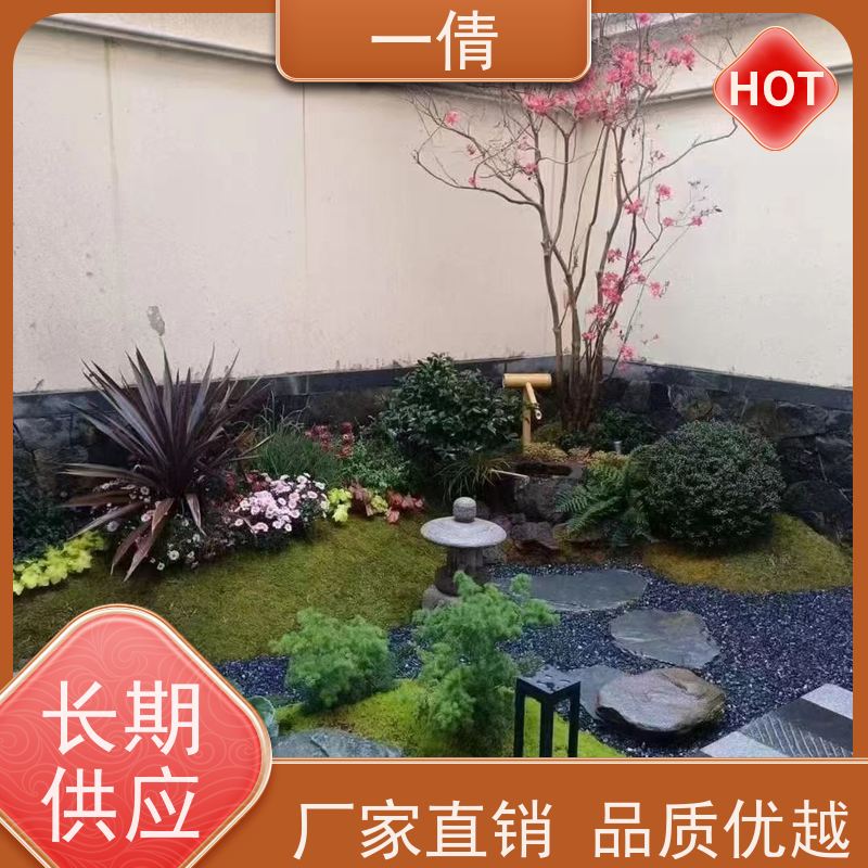 一倩花卉 办公室 组合花镜 绿植出售 种类繁多 规格齐全