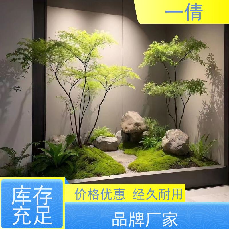 一倩花卉 办公室 凤尾竹 室内植物出租 净化空气