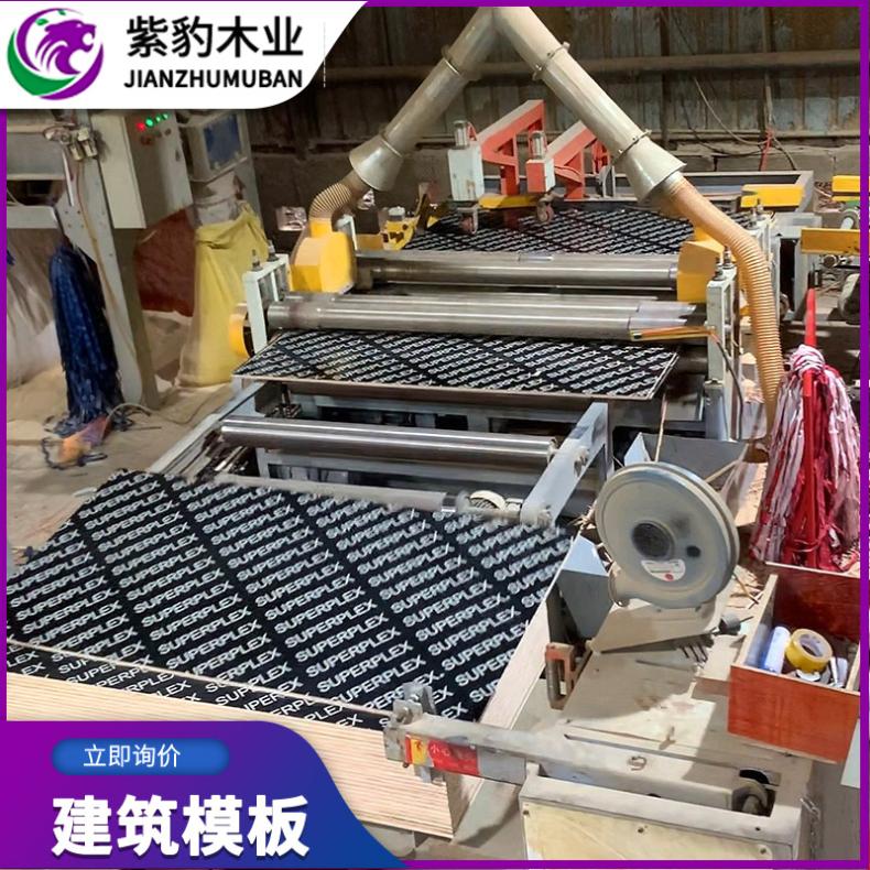 工地用桉木多层胶合小红混凝土建筑模板紫豹木业