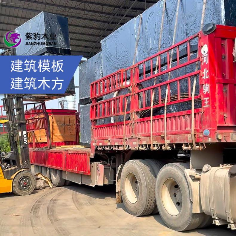 防撞桥梁工地施工组合模板36尺 桉木多层胶合小红板