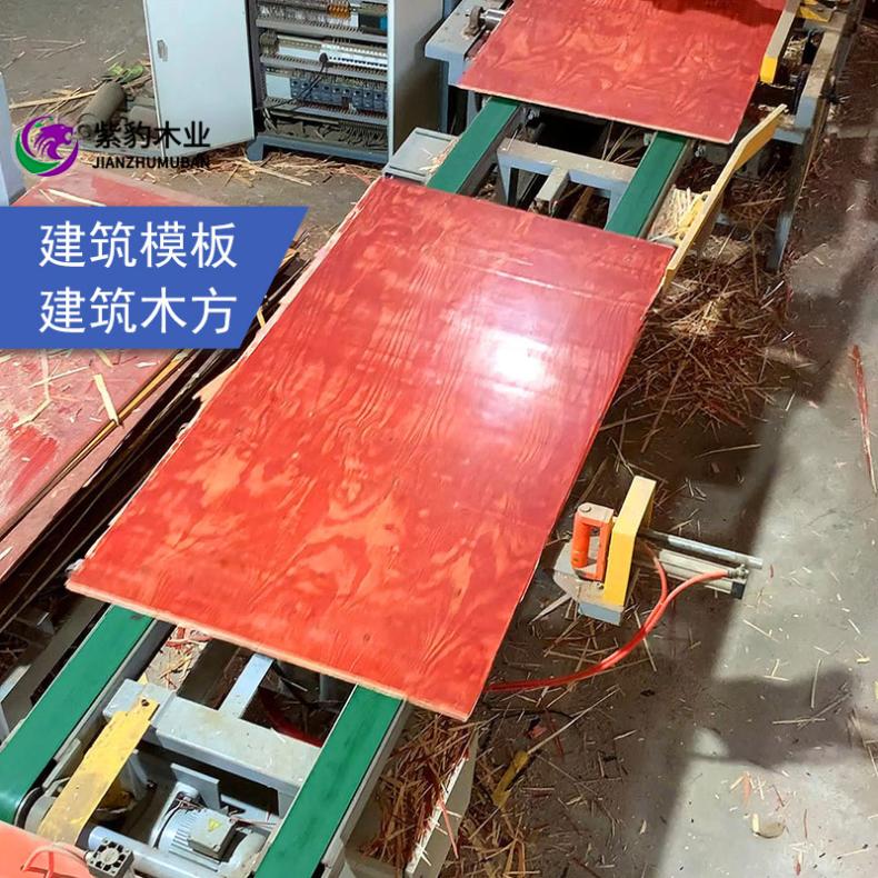 7-9层混凝土建筑模板 工程木工板红板 日产4万张混泥土成型木板专用