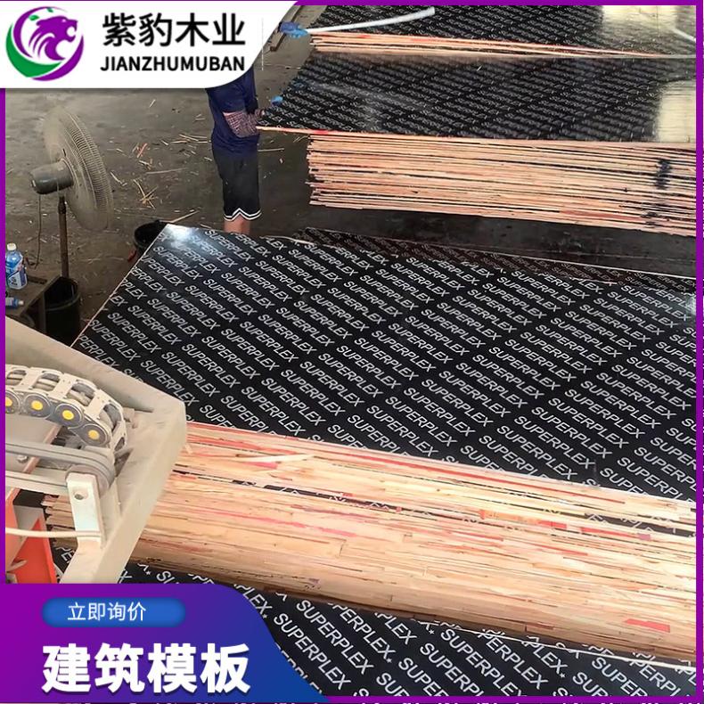 金黄色小红板 三胺胶酚醛镜面模板 黑色工程房建专用建材木板实木