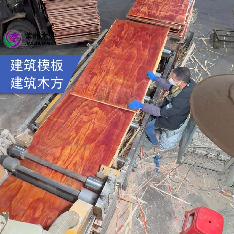 规格1220mm*2440 和36尺特殊功能多 高档建筑模板黑膜板建材