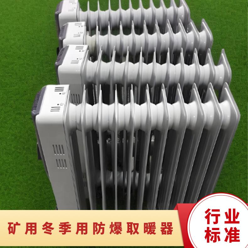 矿用冬季用防爆取暖器 用在巷道硐室127V电压具有防尘罩