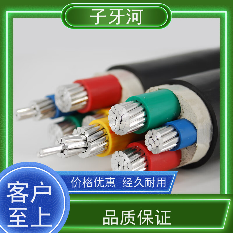 子牙河科技 国标 铝芯电缆 现场检测 4 芯 防腐蚀强