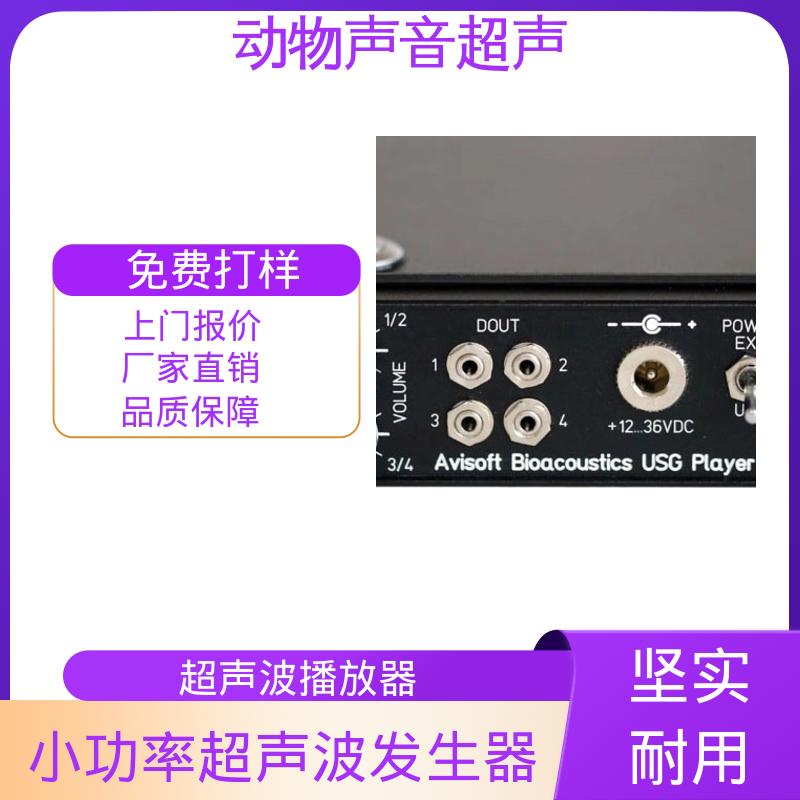 德国Avisoft 超声波麦克风 电源电流400 mA 规模生产 支持定制