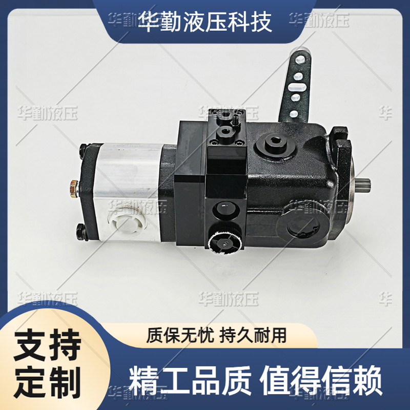  产品齐全 斜盘直轴式柱塞泵 工作稳定可靠，专业值得信赖 TOMIW液压