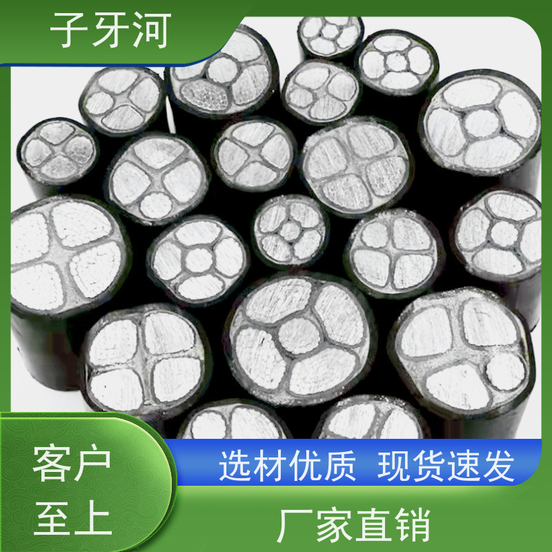 子牙河科技 防腐蚀强 现场检测 0.6/1kv 国网 输电电缆