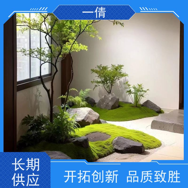 一倩花卉 前台 佛手 室内植物出租 桌面绿植 花木护理