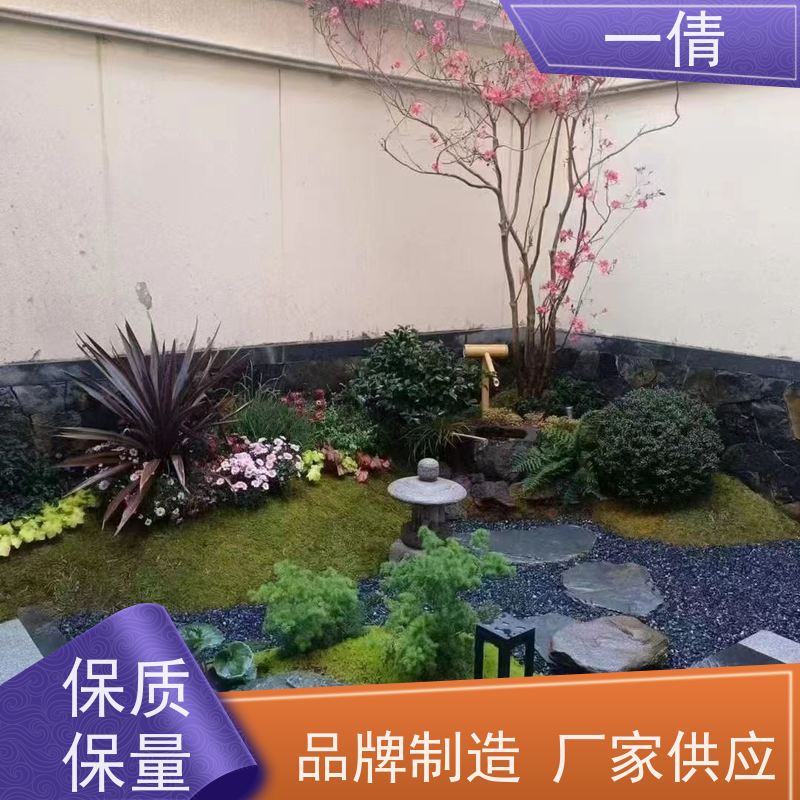 一倩花卉 办公室 太阳神 开业花篮租赁 净化空气