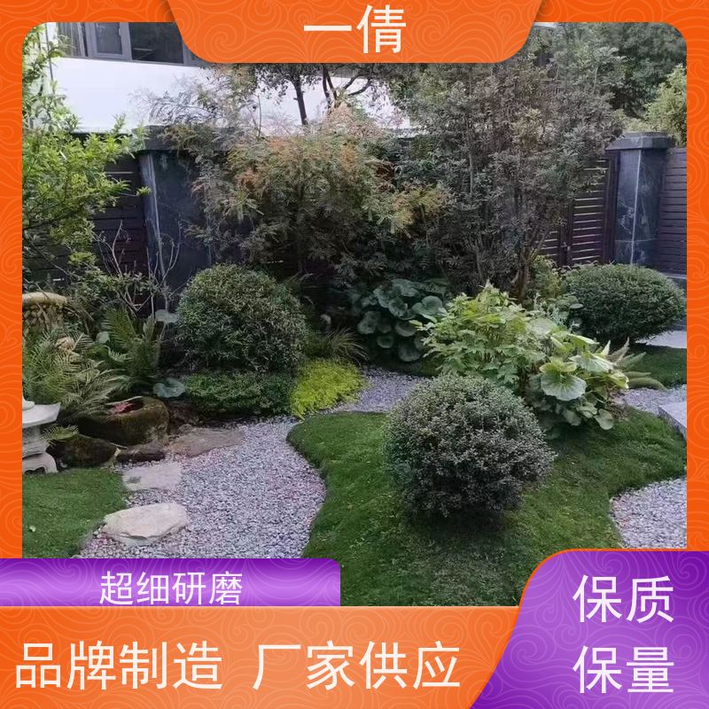 一倩花卉 前台 杨贵妃 绿植出售 全城配送 上门养护