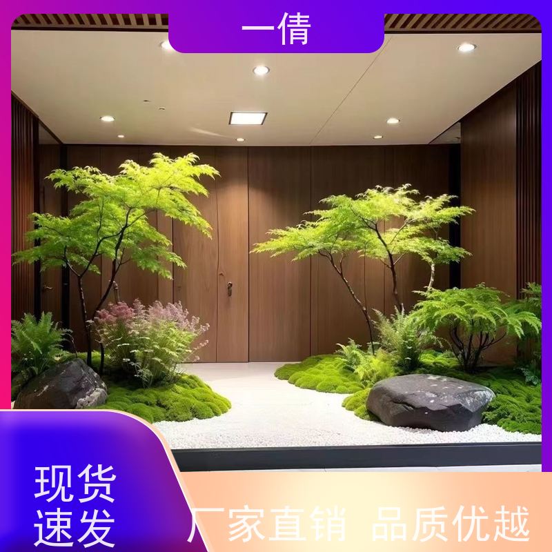 一倩花卉 深圳 绿精灵 绿植租摆 桌面绿植 花木护理
