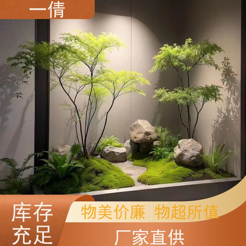 一倩花卉 前台 绿精灵 绿植租赁 桌面绿植 花木护理
