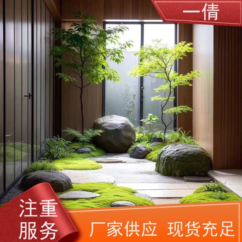 一倩花卉 深圳 树厥 绿植租摆 全城配送 上门养护