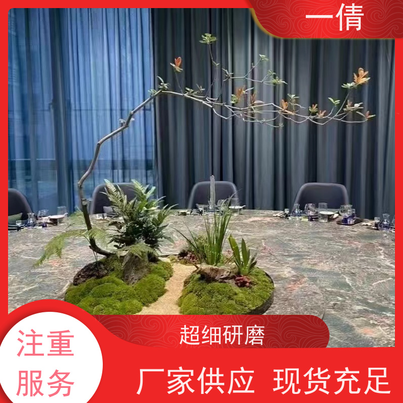 一倩花卉 深圳 桌面盆景 开业花篮租赁 净化空气