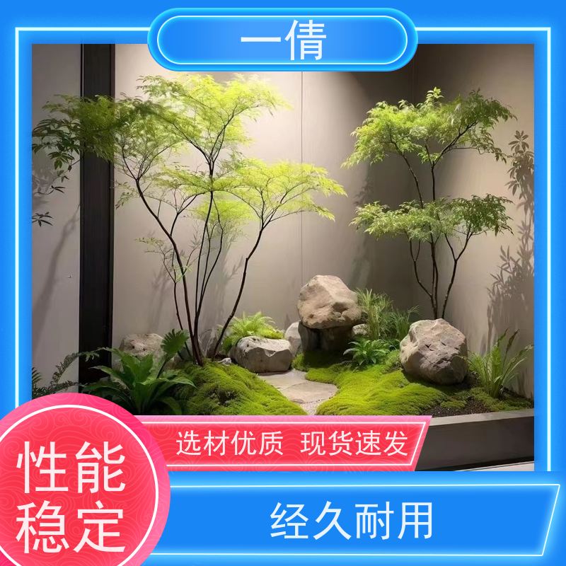 一倩花卉 办公室 紫檀 室内植物出租 桌面绿植 花木护理