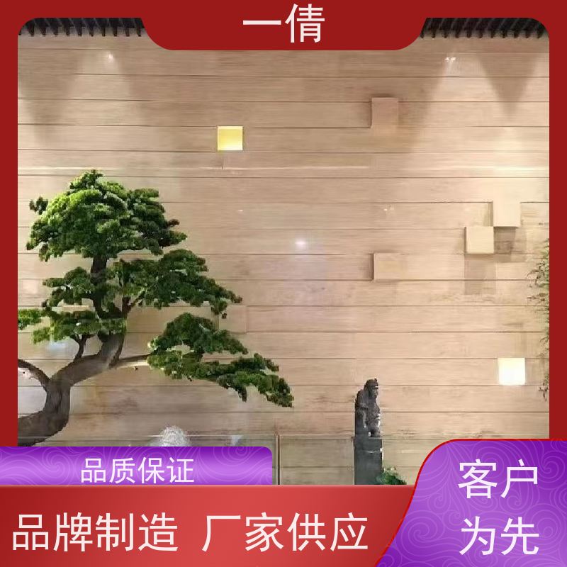 一倩花卉 室内 桌面盆景 花卉租赁 桌面绿植 花木护理