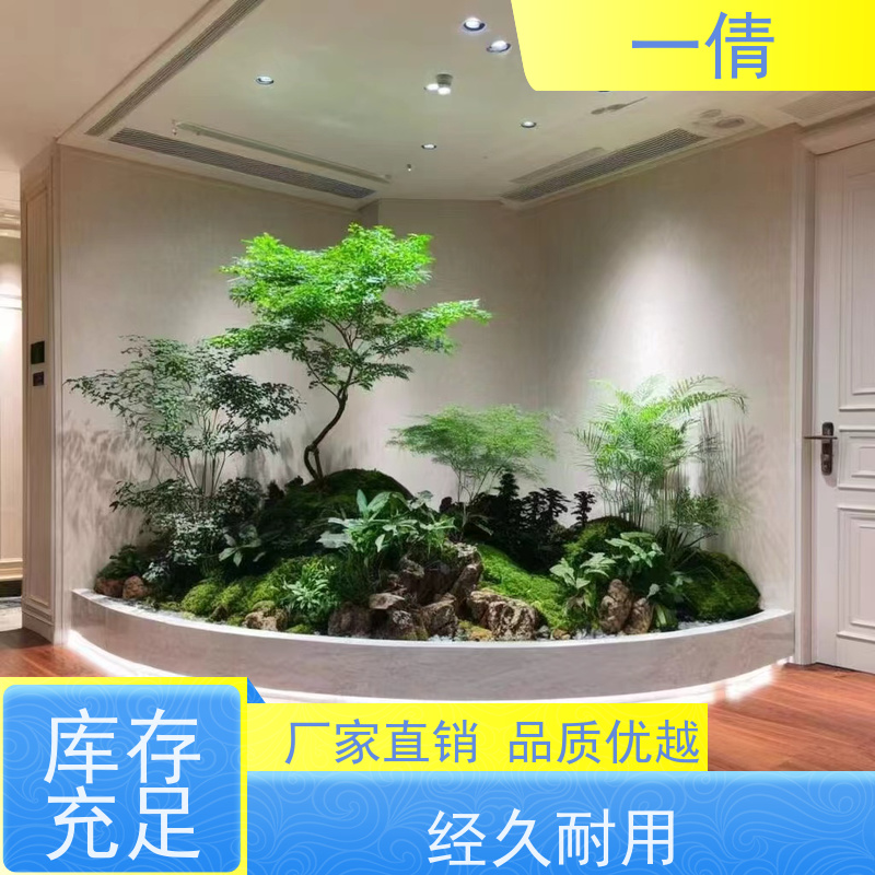 一倩花卉 室内 红玉珠 开业花篮租赁 桌面绿植 花木护理