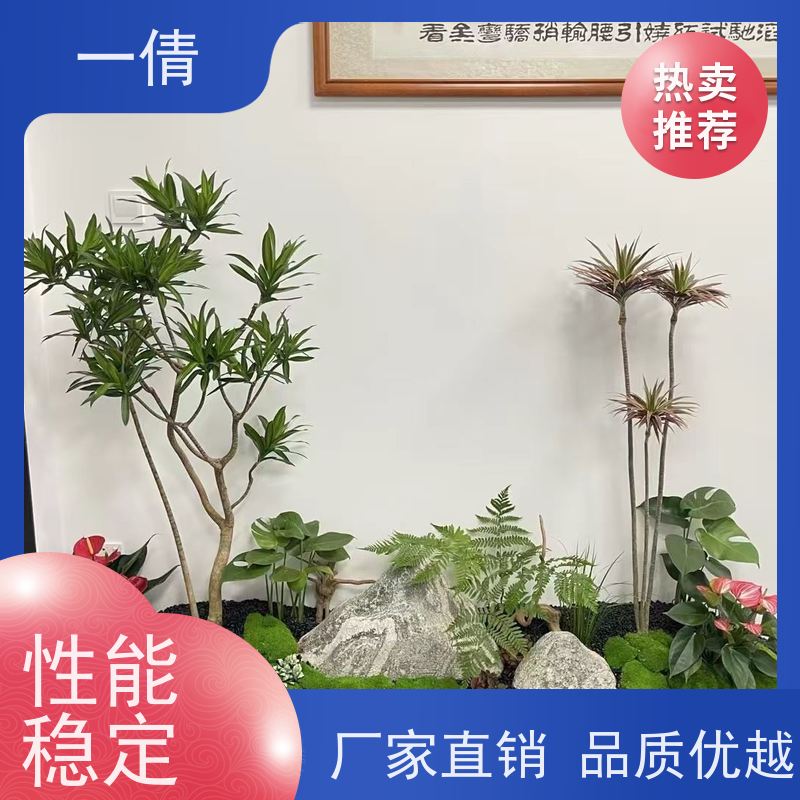 一倩花卉 室内 年桔盆景 绿植租摆 桌面绿植 花木护理