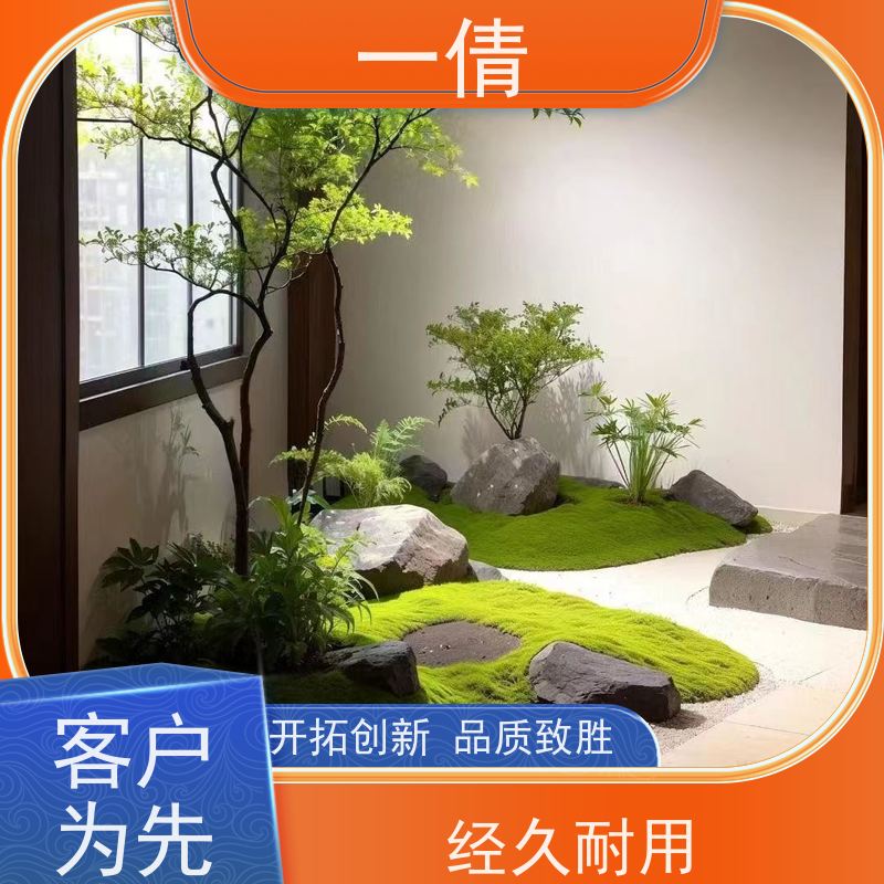 一倩花卉 办公室 银斑葛 绿植租摆 种类繁多 规格齐全