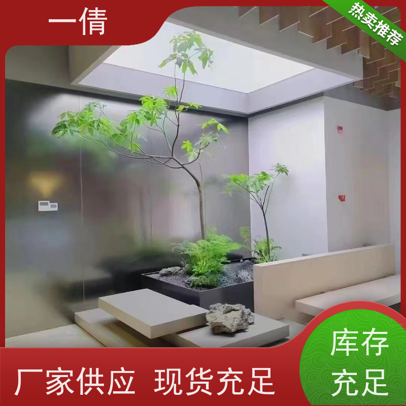 一倩花卉 室内 10层黄金果 绿植租赁 种类繁多 规格齐全