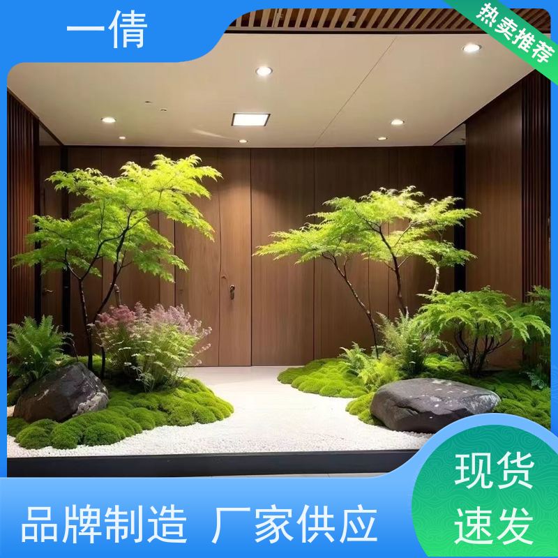 一倩花卉 前台 年桔盆景 花卉租赁 种类繁多 规格齐全