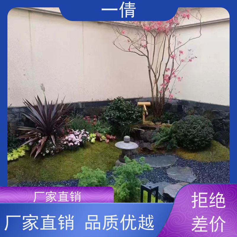 一倩花卉 室内 常春藤 绿植租赁 全城配送 上门养护
