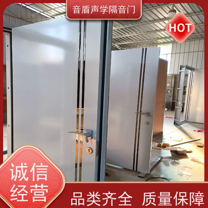 音盾 钢琴房 防火隔音门 值得信赖 品牌定制生产