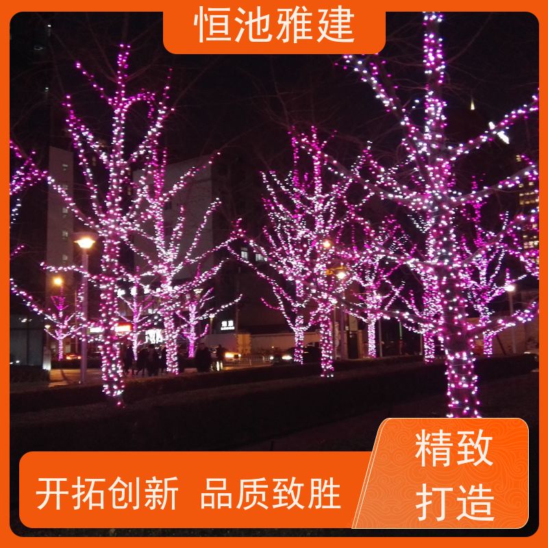 恒池雅建 节日焕然一新 彩灯串灯亮化 密封性好