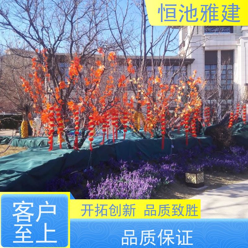 恒池雅建 光明照万家 彩灯串灯亮化 支持非标定制