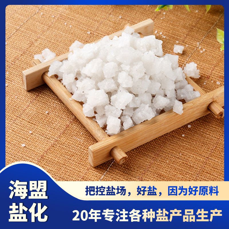 海盟 工业用 颗粒晶体盐 粗细规格都有 质量保证