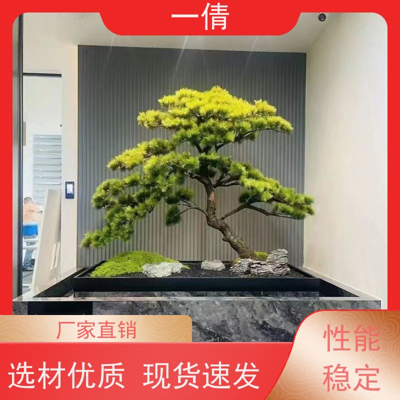 一倩花卉 办公室 桌面盆景 室内植物出租 全城配送 上门养护