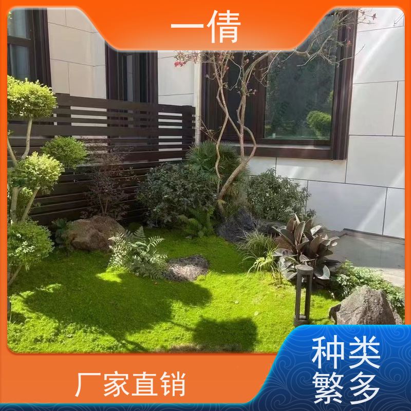 一倩花卉 前台 小年桔盆景 绿植租摆 全城配送 上门养护