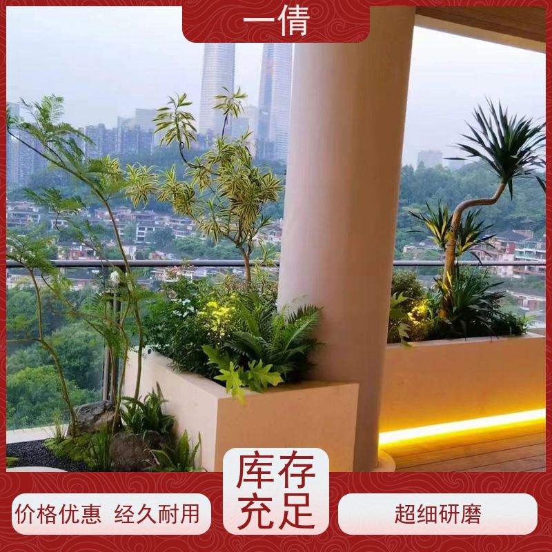 一倩花卉 室内 紫蝴蝶兰 开业花篮租赁 全城配送 上门养护
