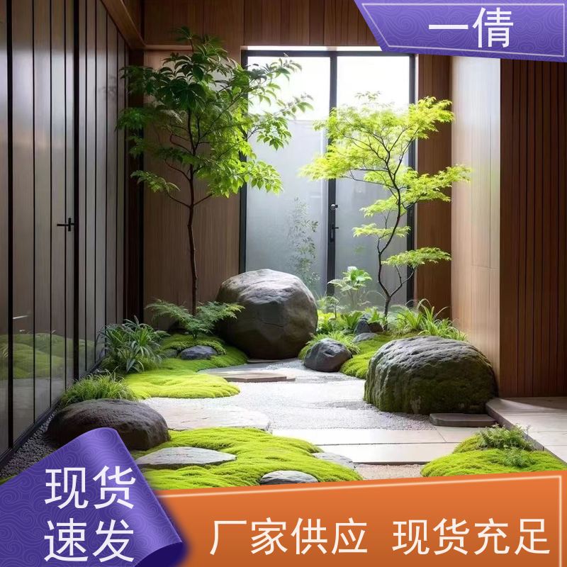 一倩花卉 深圳 观音竹 绿植租摆 全城配送 上门养护