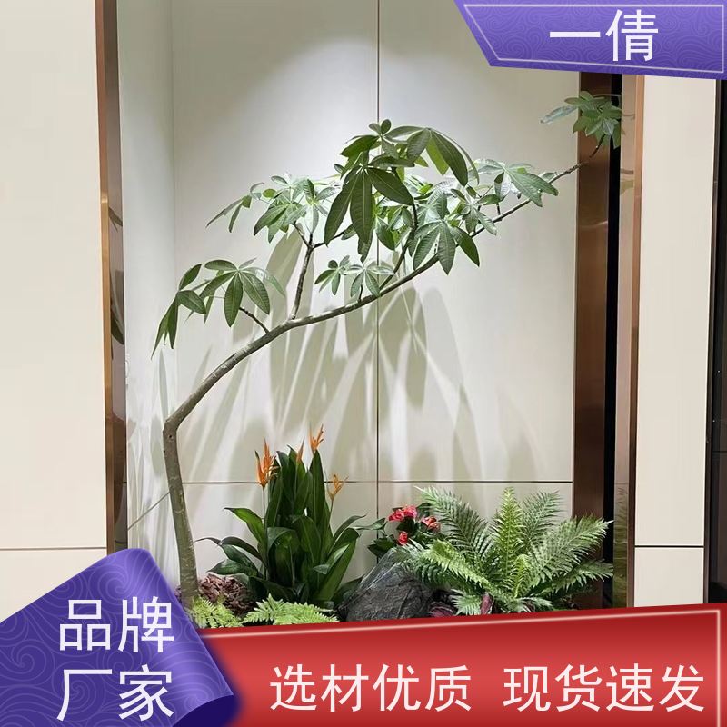 一倩花卉 深圳 红玉珠 花卉租赁 种类繁多 规格齐全