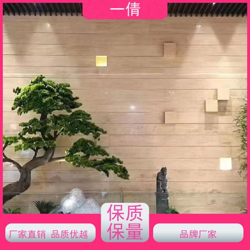 一倩花卉 办公室 七彩铁 开业花篮租赁 桌面绿植 花木护理