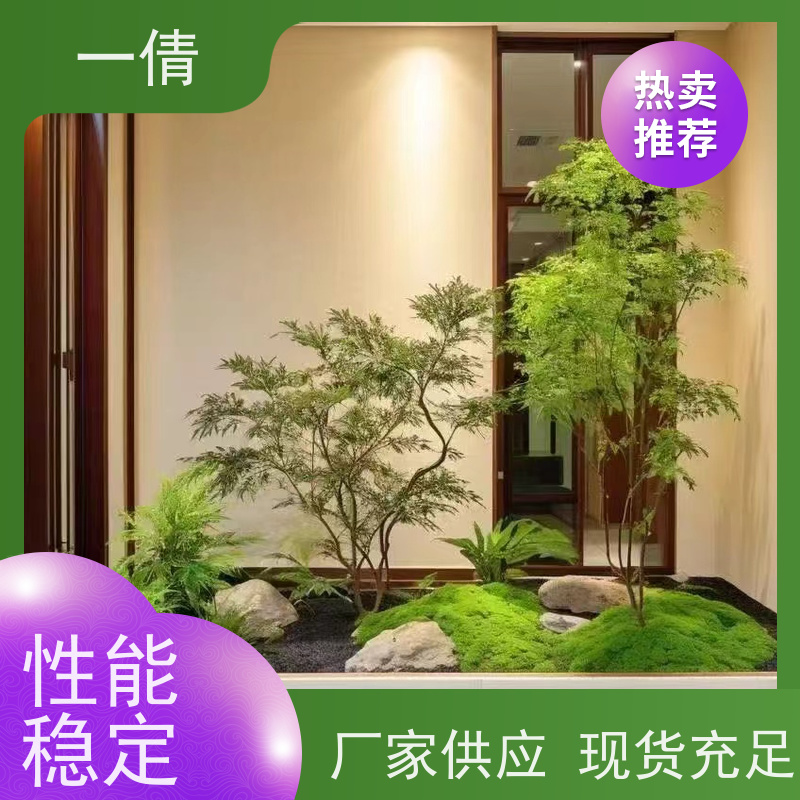 一倩花卉 室内 7寸盆四季桔 花卉租赁 全城配送 上门养护