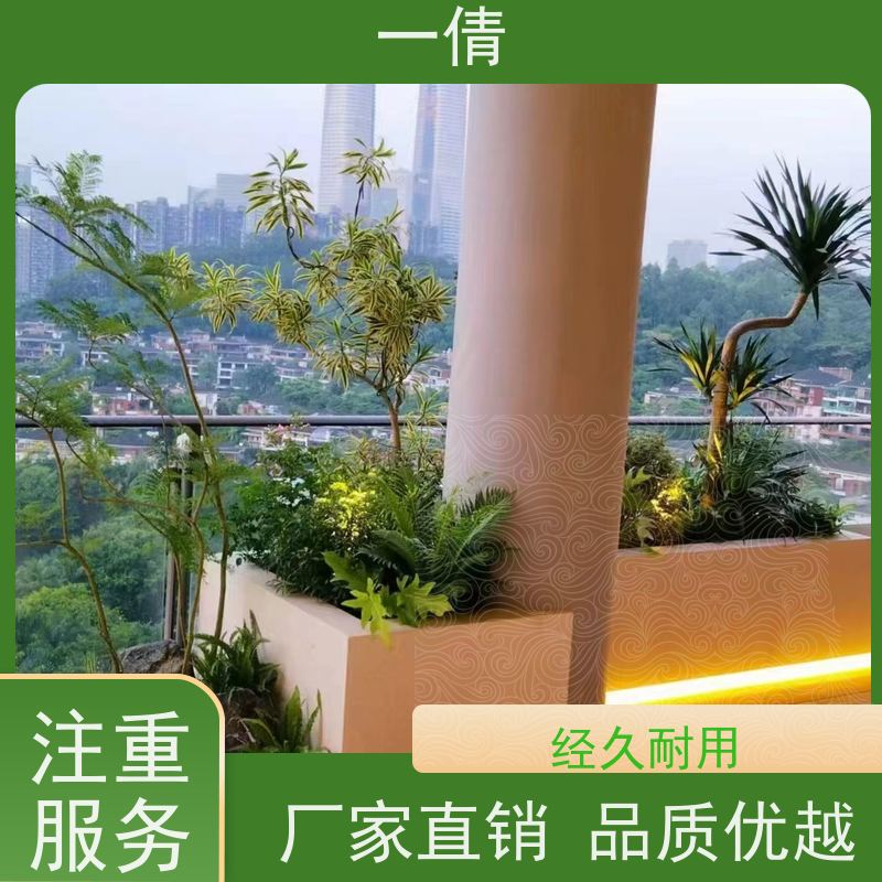 一倩花卉 室内 杨贵妃 开业花篮租赁 全城配送 上门养护