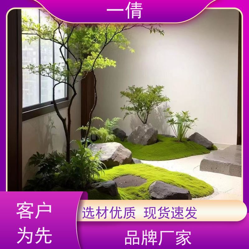 一倩花卉 办公室 大年桔盆景 开业花篮租赁 种类繁多 规格齐全