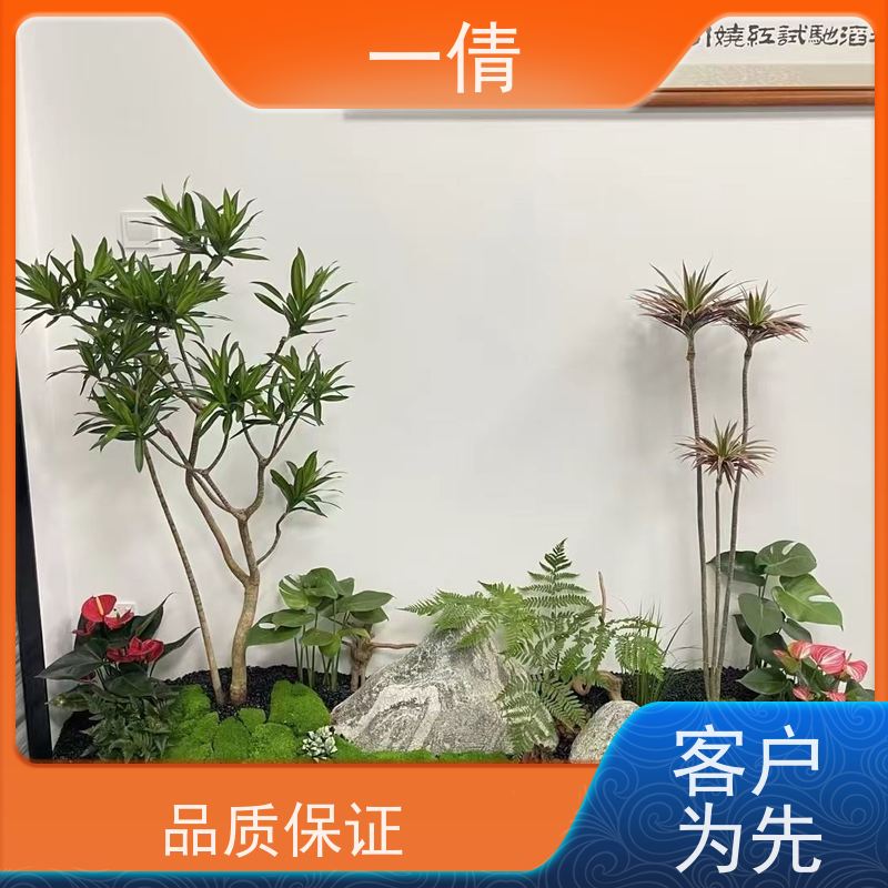 一倩花卉 办公室 天堂鸟 绿植租赁 桌面绿植 花木护理
