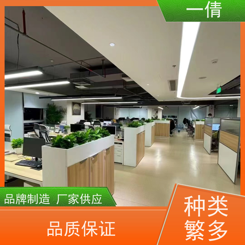 一倩花卉 深圳 金钱兜 花卉租赁 全城配送 上门养护