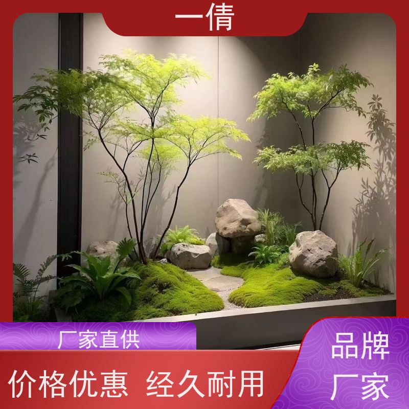 一倩花卉 深圳 冬青 花卉租赁 种类繁多 规格齐全